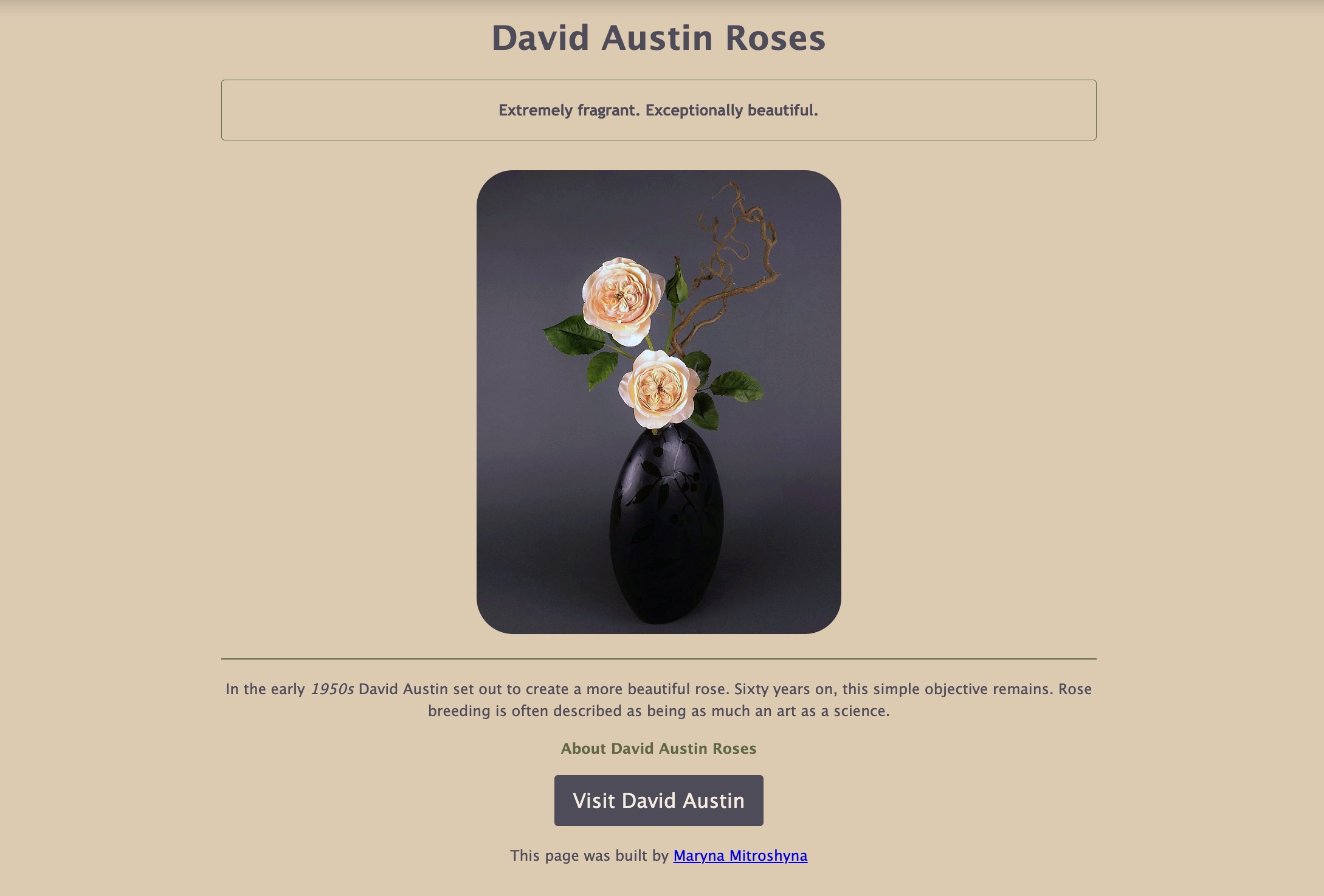 Roses project preview